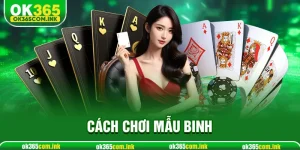 Cách Chơi Mậu Binh OK365 Chuẩn Bài Dành Cho Tân Thủ